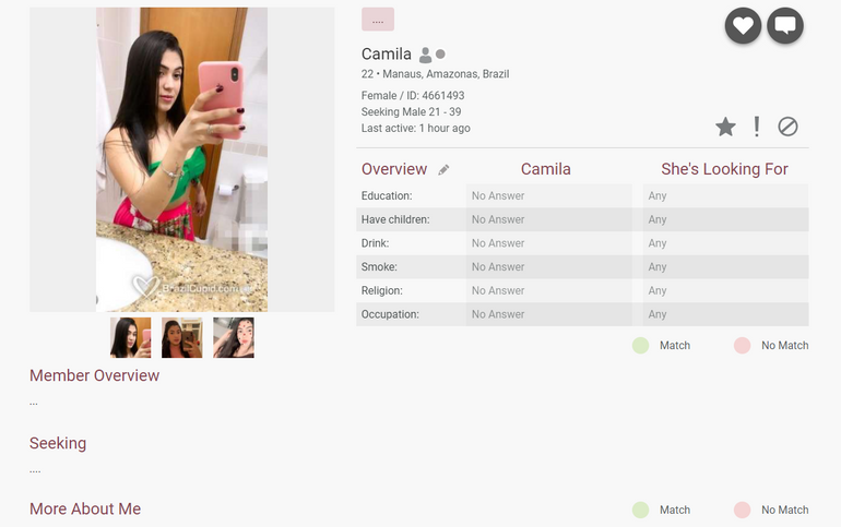 BrazilCupid Profile quality